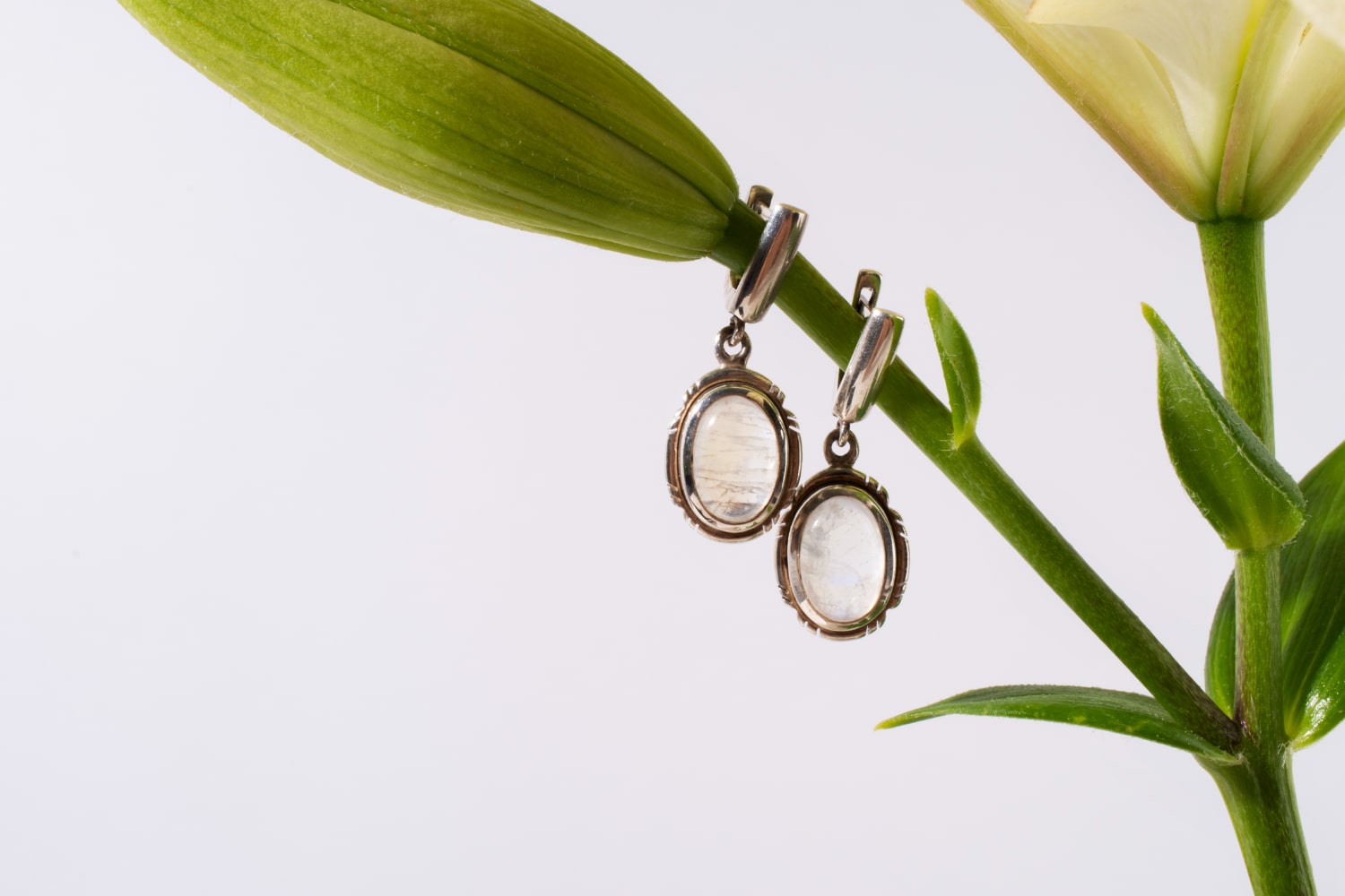 earrings for women birthday
