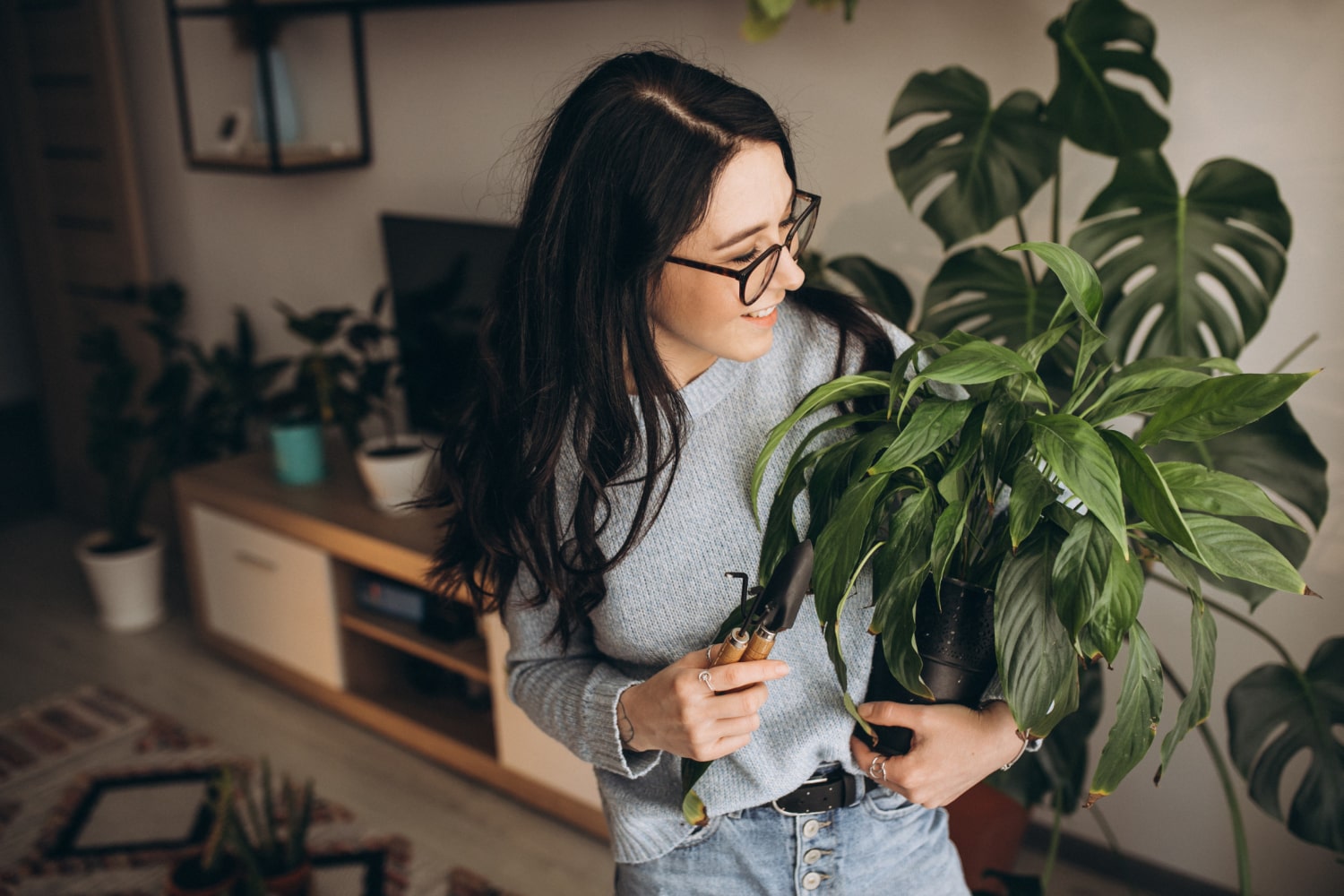 indoor plant birthday gift for women